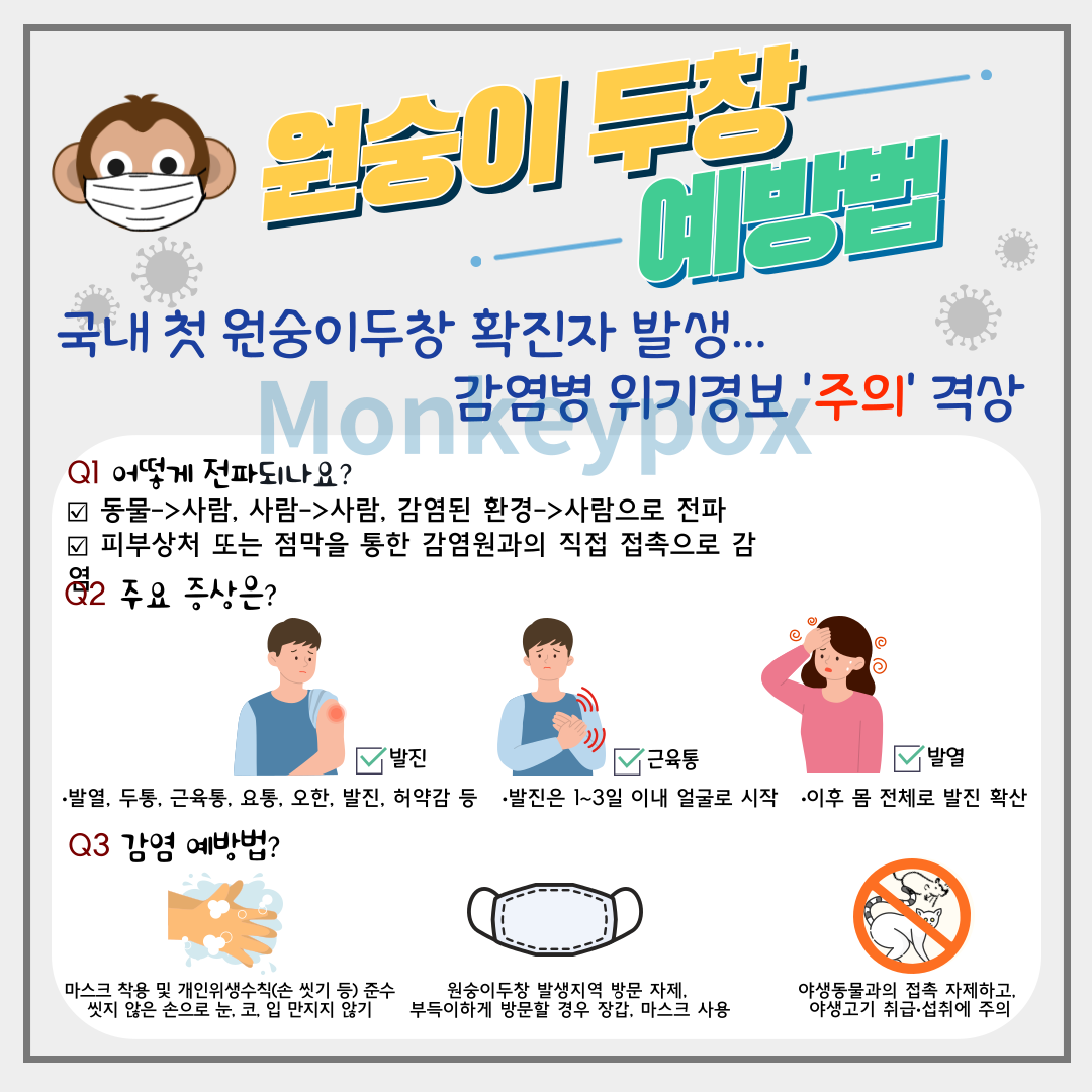 원숭이두창(카드뉴스)